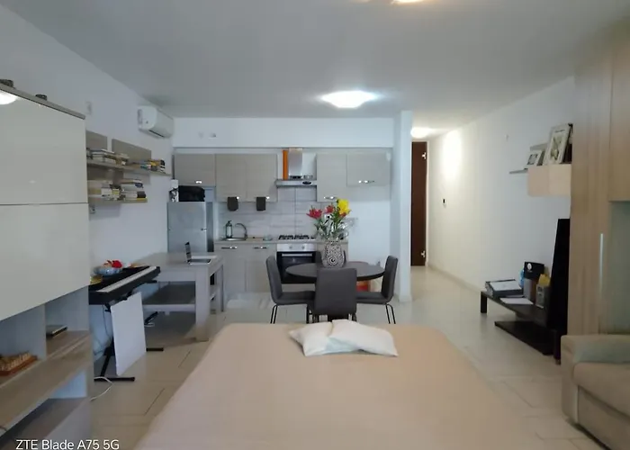 Apartment Big Modern Open Space With Terrace *