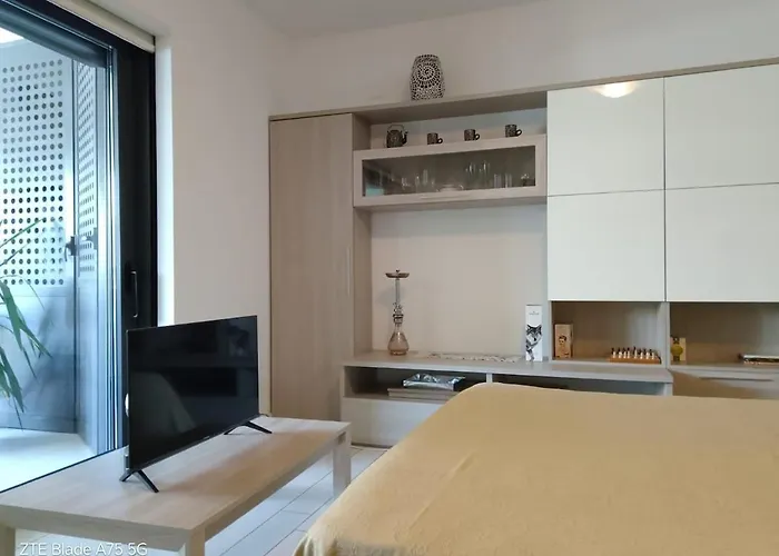 Big Modern Open Space With Terrace Apartment *